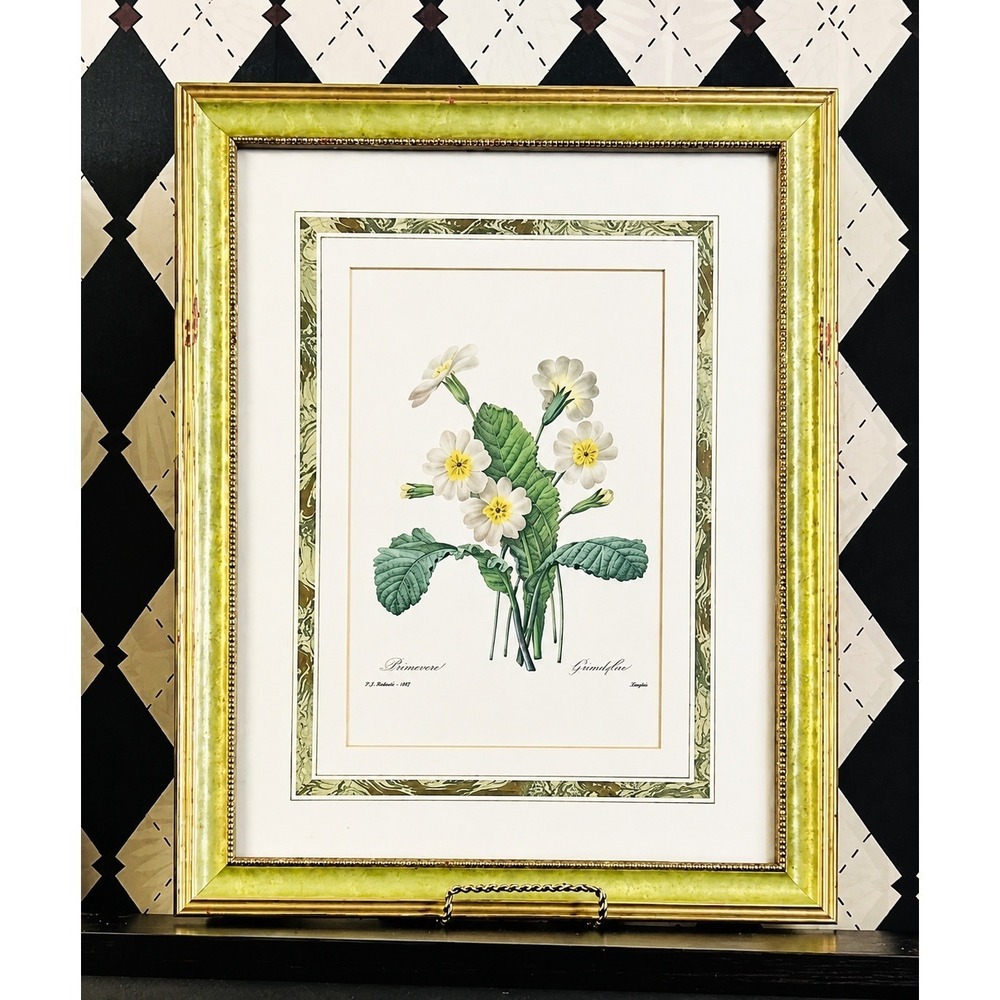 Large Botanical Lithograph Professionally Framed 21" Redouté French Floral Print